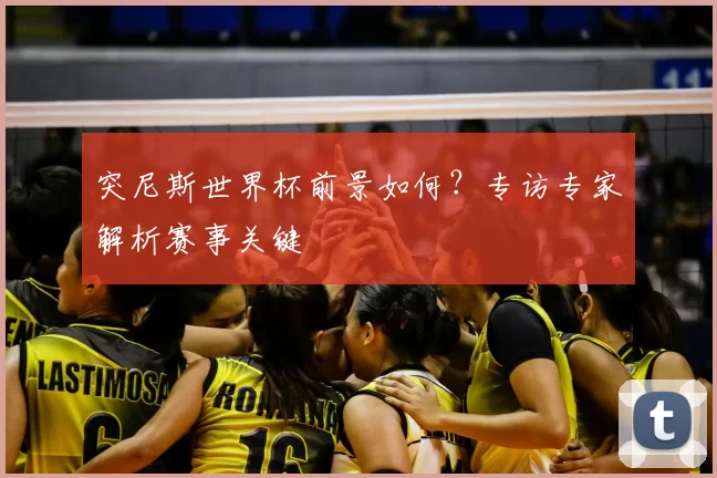 突尼斯世界杯前景如何？专访专家解析赛事关键