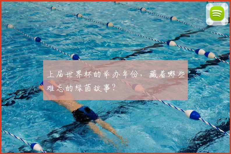 上届世界杯的举办年份,藏着哪些难忘的绿茵故事?