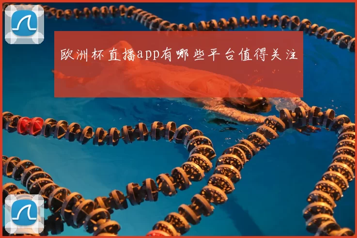 欧洲杯直播app有哪些平台值得关注