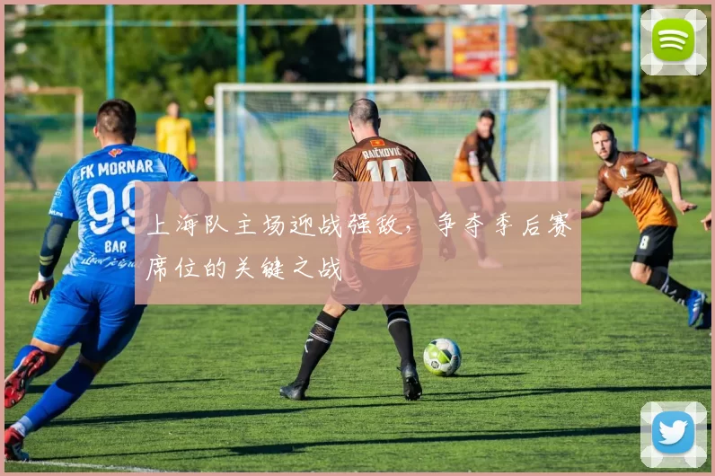 上海队主场迎战强敌，争夺季后赛席位的关键之战