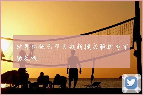 世界杯综艺节目创新模式解析与市场反响