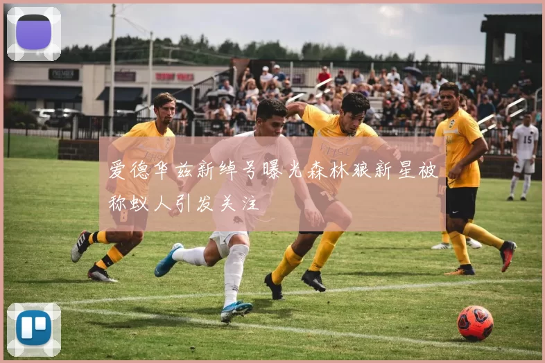 爱德华兹新绰号曝光森林狼新星被称蚁人引发关注