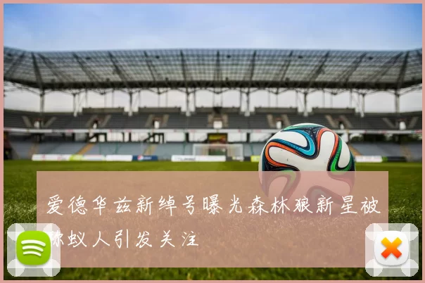 爱德华兹新绰号曝光森林狼新星被称蚁人引发关注