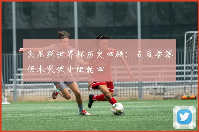 突尼斯世界杯历史回顾:五度参赛仍未突破小组轮回