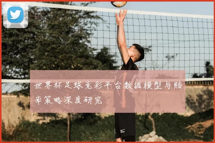 世界杯足球竞彩平台数据模型与赔率策略深度研究