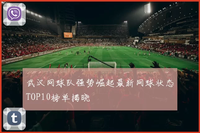 武汉网球队强势崛起最新网球状态TOP10榜单揭晓