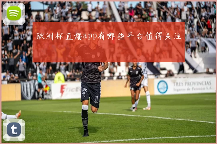 欧洲杯直播app有哪些平台值得关注